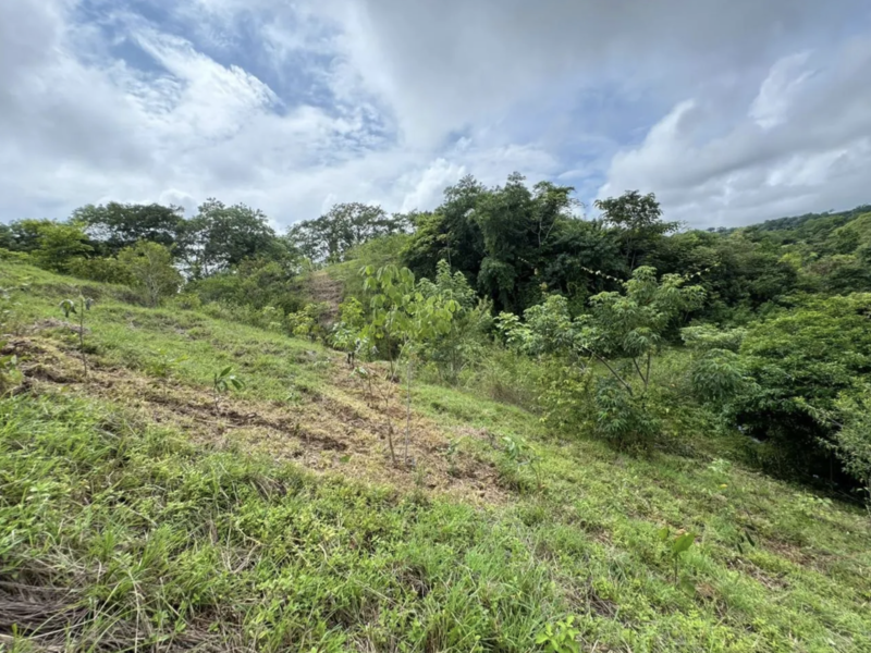 0 bed Land For Sale in San Isidro Cobano, Puntarenas - 1